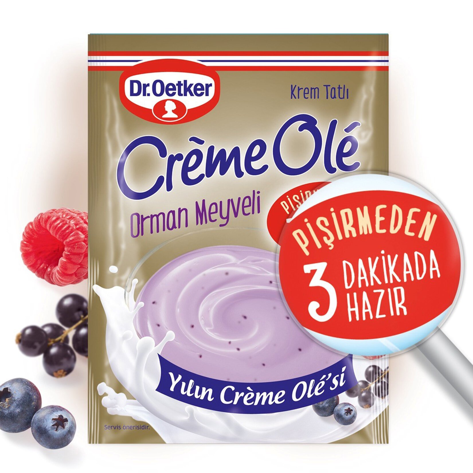 Dr. Oetker Orman Meyveli Creme Ole 89 Gr